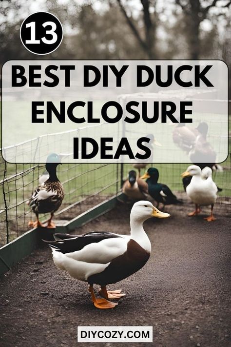 Enhance your backyard's beauty with these 13 best DIY duck enclosure ideas. Discover aesthetically pleasing designs that blend functionality with style, creating an attractive and harmonious space for your ducks. Duck Habitat Diy, Backyard Ducks Habitat Diy, Duck Cage Ideas, Diy Duck Enclosure Ideas, Duck Run Ideas, Diy Duck Enclosure, Duck Enclosure Ideas, Duck Raising, Duck Pond Ideas