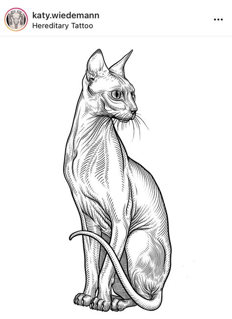 Sphynx Drawing, Sphinx Cat Tattoo, Sphynx Cat Tattoo, Tattoo Elements, Good Tattoos, Cat Skeleton, Happy Accidents, Pet Cemetery, Sphinx Cat