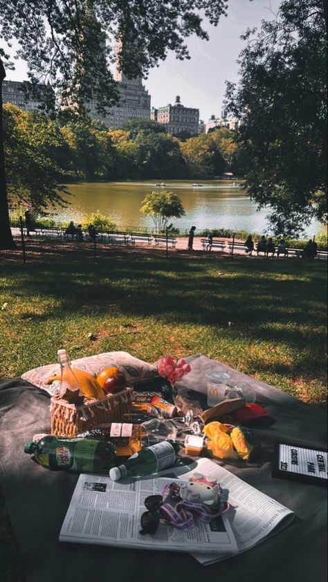 New york New York Date Aesthetic, Picnic Date, New York Aesthetic, New York