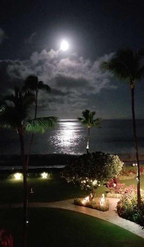 Peaceful Night Pictures, Beach In The Night Aesthetic, Hawaii At Night Aesthetic, Hawaii Beach At Night, Hawaii Aesthetic Night, Beach At Night Aesthetic Wallpaper, Beach Aesthetic At Night, The Beach Aesthetic Wallpaper, Beach View Night