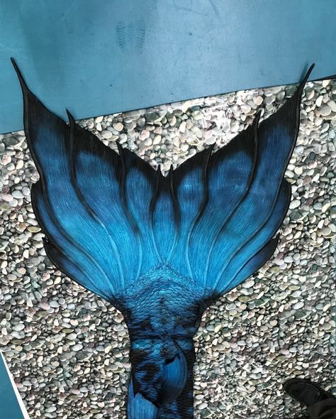 Merthology creations electric blue jack dempsy silicone mermaid tail fluke Dark Blue Mermaid Tail, Mermaid Tail Blue, Mermaid Tail Art, Realistic Mermaid Tails, Blue Mermaid Tail, Descendants Dr, Realistic Mermaid, Dark Mermaid, Silicone Mermaid Tails