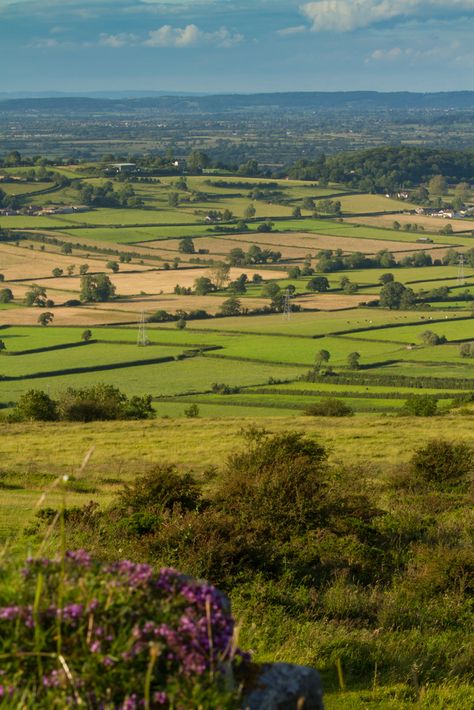 Britain Landscape, Scotland Countryside, Mendip Hills, Somerset Levels, Town And Country Magazine, Cute Cottages, Valley Green, Working Farm, Farm Sanctuary