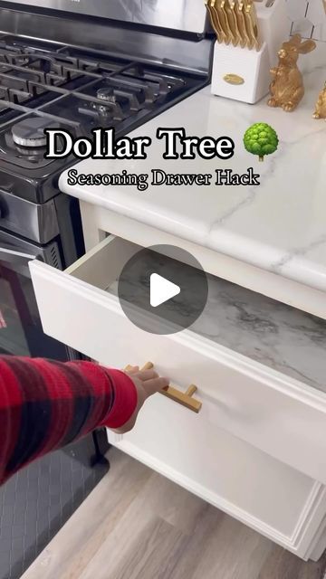 DollarTree.Goodies5&More on Instagram: "Easy Dollar Tree Seasoning Drawer Hack🔥🙌

Credits: @raenicolleee

Now all I need is some cute seasoning jars! 

#dollartree #dollartreefinds #dollartreediy #dollartreehacks #seasoningdrawer #organizationideas #organization #organizationhacks #kitchenorganization #homeorganization #organizewithme #asmr #asmrorganizing #asmrcommunity #kitchenhacks #clorox #lifehacks 

Are you asleep yet? 🥱" Diy Spice Drawer Organizer Dollar Store, Best Spice Organization, Seasoning Drawer Organization, Dollar Tree Seasoning Organization, Seasoning Cabinet Organization, Seasoning Organization Ideas, Dollar Tree Cabinet Organization, Organize Seasonings, Dollar Tree Spice Organization