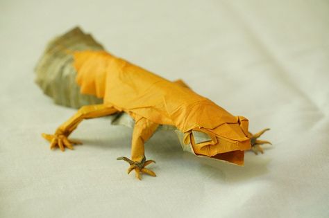 Photo by kosuke nakamura (source: ) #origami #lizard Origami Lizard, Creative Origami, Origami Art, Reptiles And Amphibians, Origami Crafts, Kirigami, Amphibians, Reptiles, Paper Craft