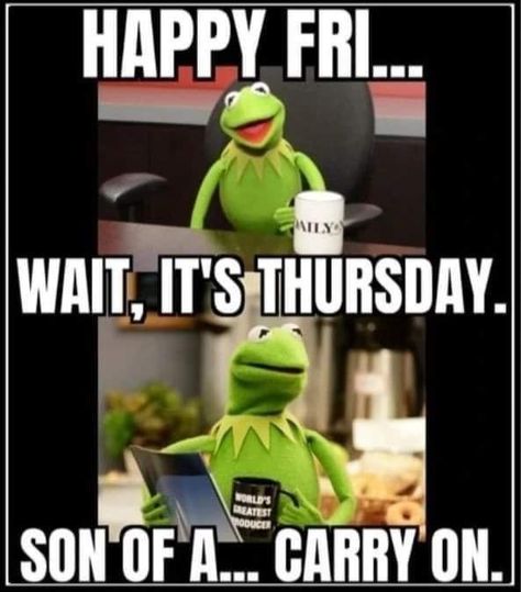 Frog Friday, Thursday Humor, Kermit Funny, Funny Day Quotes, Good Morning Funny Pictures, Happy Morning Quotes, Funny Cartoons Jokes, Morning Quotes Funny, Cute Good Morning Quotes