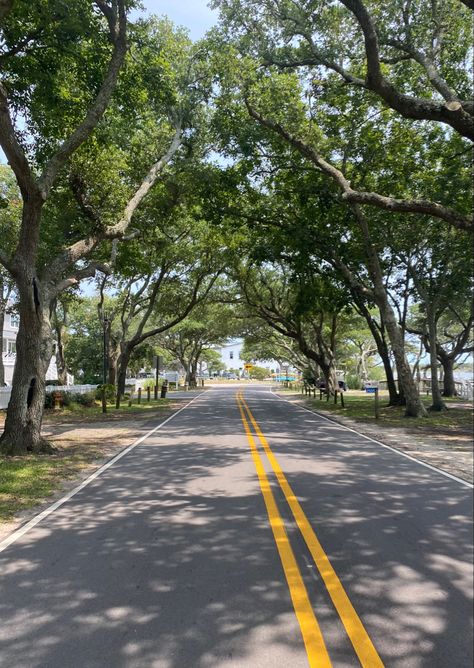 #aesthetictrees #aesthetic #trees #road Road Between Trees, Road Pic, Beach Trees, Aesthetic Trees, Road Aesthetic, Aesthetic Lovers, Usa Street, Indian Road, Road Pictures