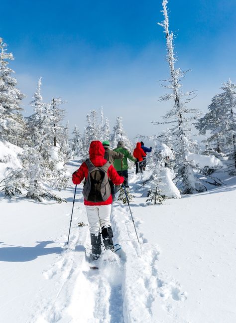 Snowshoeing - Snowshoe Trails Alta, Utah | Snowpine Lodge Notion Images, Alta Utah, Snow Shoeing, Alta Ski, Colorado Winter, Snowshoes, Ski Area, Winter Adventure, Snow Shoes