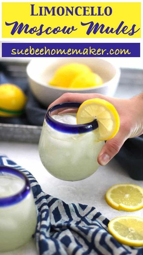 Limoncello Cocktails, Moscow Mules, Mule Recipe, Lemon Drink, Boozy Drinks, Vodka Cocktails, Alcohol Drink Recipes, Drinks Alcohol Recipes, Alcohol Recipes