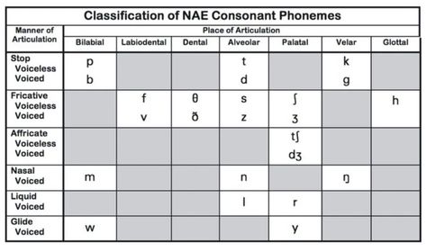 Manner Of Articulation, Place Of Articulation, Phonetic Chart, Sounds In English, Linguistics Study, Brain Anatomy And Function, Vowel Chart, Pronunciation English, English Sounds