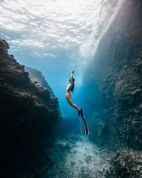 Diver Aesthetic, Marine Biology Jobs, Freediving Photography, Hawaii Magazine, Skin Diving, Hidden Art, Underwater Photographer, Free Diving, Snorkeling Gear