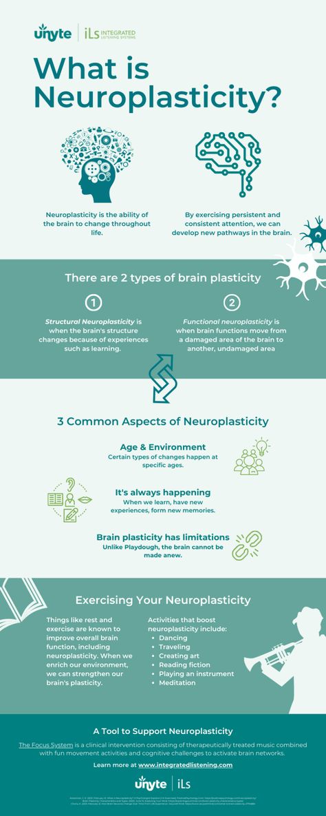 Neuroplasticity Exercises, Psychology Notes, Psychology Studies, Brain Structure, Cognitive Therapy, Brain Facts, Brain Anatomy, Brain Gym, Critical Thinking Skills