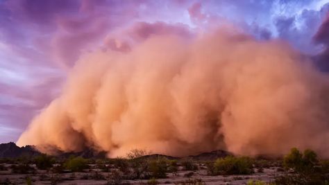 35 Crazy Dust Storms Facts Weather Questions, Ozone Layer, Human Bones, Dust Storm, Persian Empire, Weather Change, Lightning Strikes, Water Droplets, Natural Phenomena