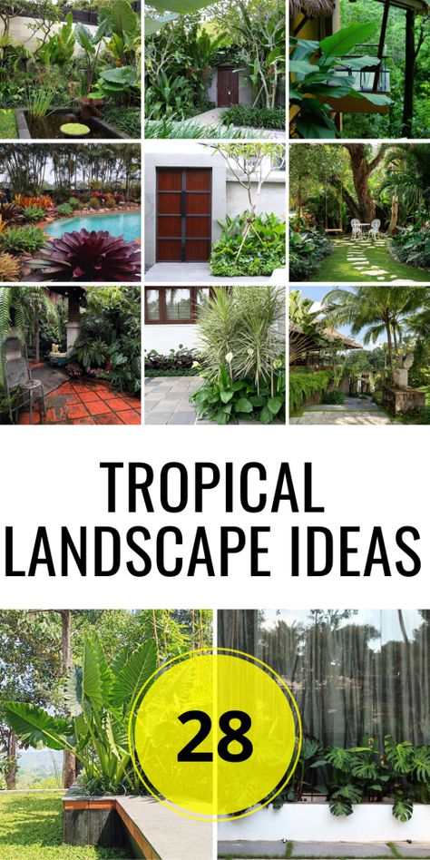 28 Tropical Landscape Ideas for Stunning Front Yards, Backyards, and Small Spaces - placeideal.com Myrtle Beach Landscaping Ideas, Low Maintenance Tropical Garden, Florida Landscaping Around Pool Cage, Tropical Oasis Backyard, Florida Backyard Landscaping, Backyard Tropical Oasis Ideas, Florida Landscaping Ideas Front Yards, Florida Backyard Ideas, Tropical Landscape Ideas