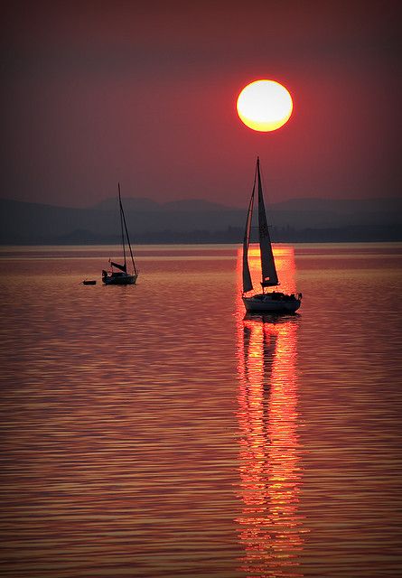 Reflecting on a  Sunset on Lake Balaton, Hungary Lake Balaton, Hungary Travel, Good Night Moon, Central Europe, Budapest Hungary, Sailboats, Beautiful Sunset, Sunrise Sunset, Beautiful World