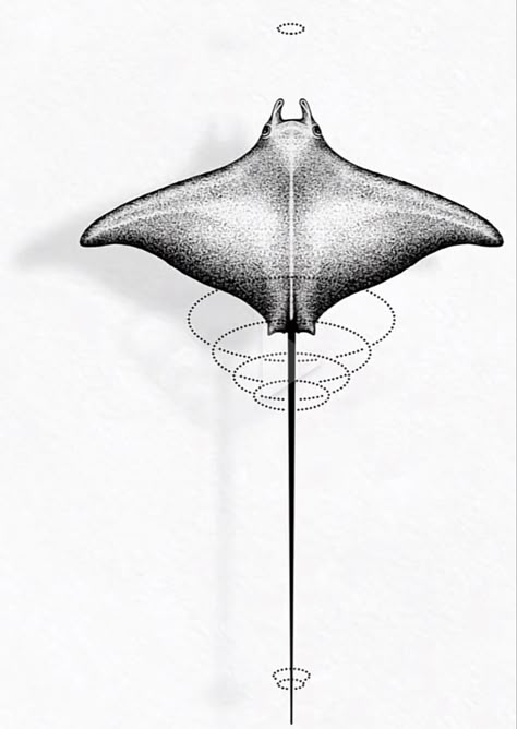 Mantaray Back Tattoo, Manta Ray Spine Tattoo, Manga Ray Tattoo, Mantaray Drawing, Mantaray Tattoo, Manta Ray Drawing, Manta Tattoo, Ray Drawing, Manta Ray Tattoo