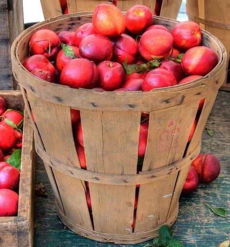 I love you, a bushel and a peck! 🎶 Fruit Picnic, Picnic Company, Strawberry Food, Fruit Recipe, Fruit Company, Bushel Baskets, Picnic Summer, Fruit Fresh, Fresh Fruit Recipes