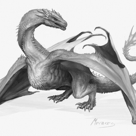 Viserys I Targaryen, Dragon Poses, Got Dragons, Wings Of Fire Dragons, Dragon Artwork Fantasy, Targaryen Art, Dragon Sketch, Arte Dc Comics, Dragon Pictures