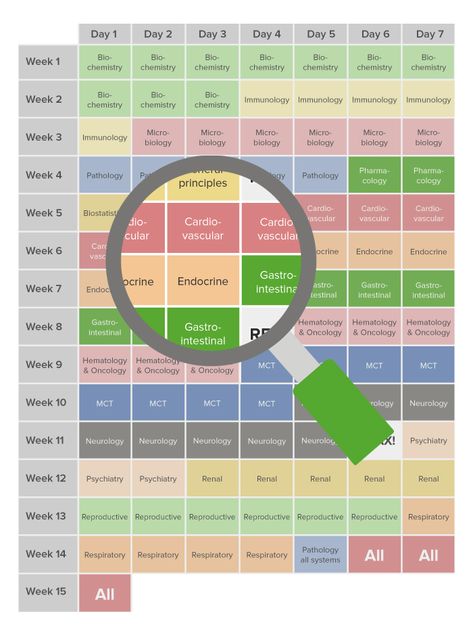 The 99-Day Study Schedule for USMLE® Step 1 (FREE) Usmle Step 1 Study Plan, Medical School Study Schedule, Step 1 Study Schedule, Usmle Step 1 Notes, Usmle Step 1 Schedule Study Guides, Usmle Step 1 Schedule, Usmle Step 1 Motivation, Study Schedule Ideas, Study Routine Schedule