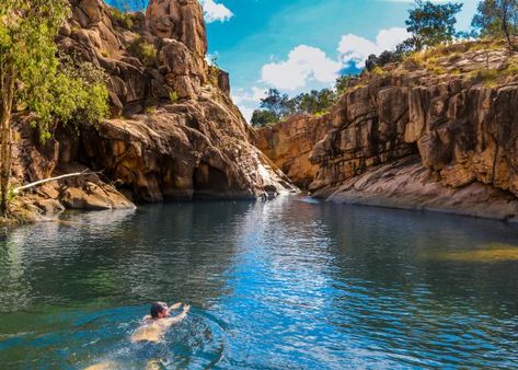 Whether it’s a hot spring, waterfalls or a natural pool, swimming holes have the power to pull a crowd. ... Litchfield National Park, Kakadu National Park, Swimming Hole, Australian Travel, Natural Pool, Rock Pools, Northern Territory, Swimming Holes, Australia Travel