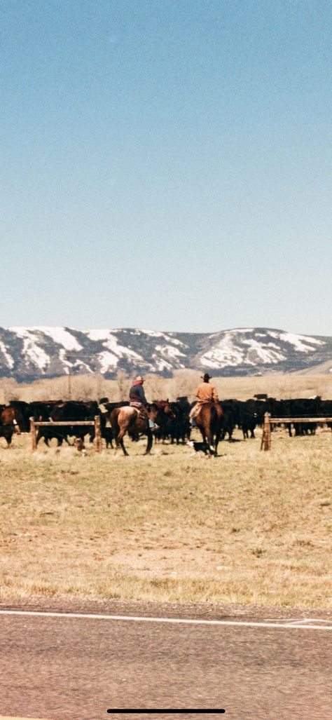 Wyoming Aesthetic, Ranch Wyoming, Wyoming Ranch, Montana Ranch, Cowboy Like Me, Texas Ranch, Ranch Life, Future Ideas, Us When