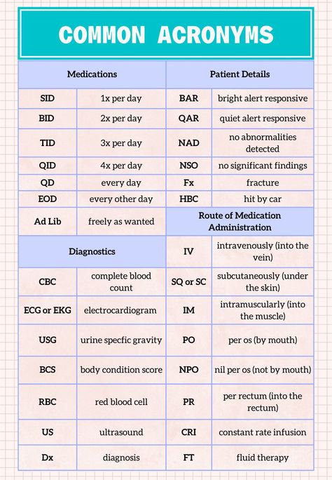 Vet Tech Terminology, Vet Tech Study Guide, Vet Tech Training Checklist, Veterinary Nursing Revision, Vet Receptionist Cheat Sheet, Vet Tech Tips, Veterinary Abbreviations, Vet Nurse Student, Vet Assistant Notes