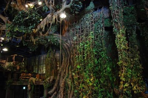 Tree Vines, Jungle Backdrop, Set Theatre, Theatre Backdrops, Peter And The Starcatcher, Disneyland Photos, Il Re Leone, Rope Ladder, Jungle Room