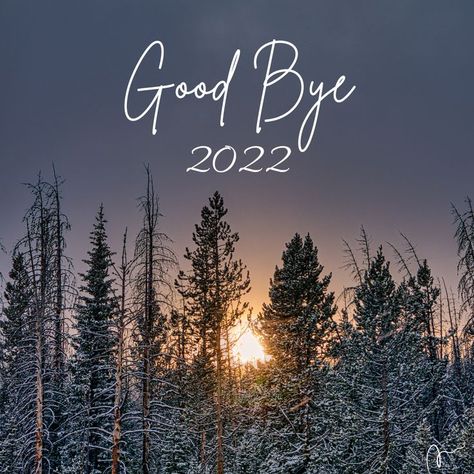 #motivate #motivationalquote #motivationalwords #motivationdaily #motivationforlife #motivationoftheday #ownyourlife #successfulmindset #successmore #successtip Good Bye 2022, 2022 Goodbye, Bye 2022, Goodbye 2022, Happy New Year Quotes, Year Quotes, Good Bye, Quotes About New Year, Good Morning Good Night