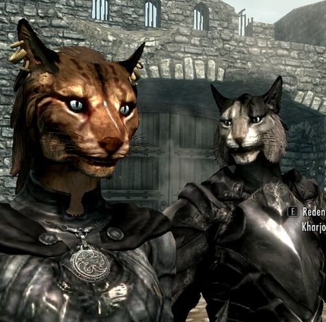 Khajiit (Skyrim) - The Elder Scrolls Female Khajiit, Skyrim Cat, Skyrim Khajiit, Skyrim Fanart, Elder Scrolls Oblivion, Skyrim Art, Elder Scrolls Art, Elder Scrolls Skyrim, Fantasy Heroes