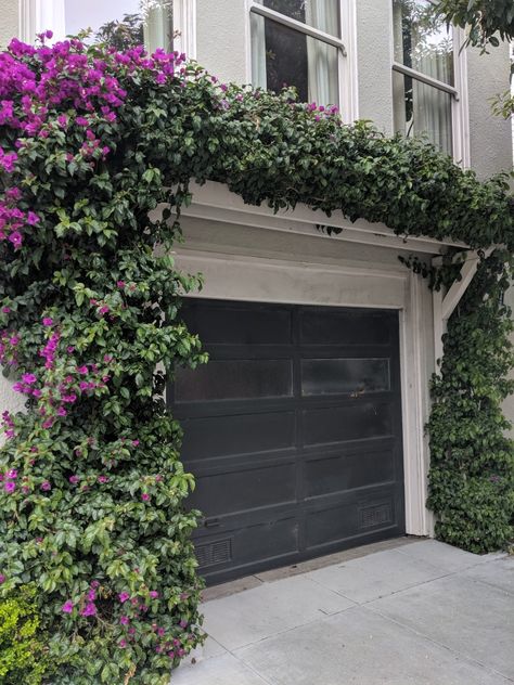 Vines Over Garage Door, Garage Vine Trellis, Vines Over Garage, Garage With Trellis, Garage Pergola With Vines, Plants On Side Of Garage, Flowers In Front Of Garage, Diy Garage Trellis, Plants In Front Of Garage