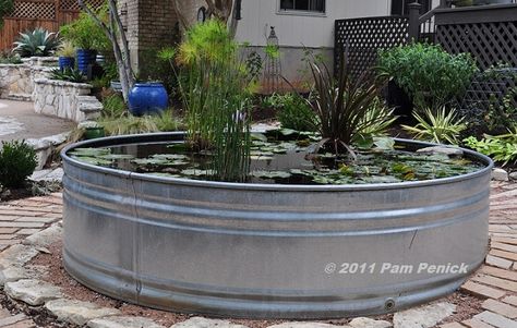 Stock Tank Pond, Container Pond, Container Water Gardens, Water Gardens Pond, Turtle Pond, Diy Pond, Pond Landscaping, Natural Pond, Backyard Water Feature