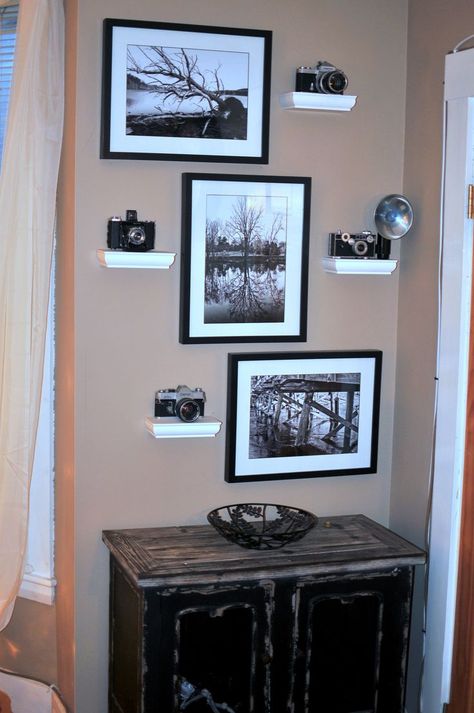 Old Camera Decoration Ideas, Black And White Photography Framed, Vintage Camera Display Ideas, Camera Collection Aesthetic, Camera Display Ideas Shelves, Old Camera Display Ideas, Camera Shelf Display, Camera Display Ideas, Camera Collection Display