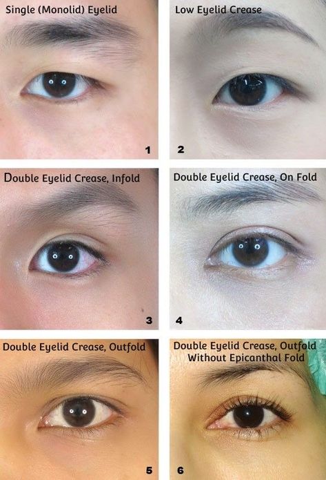 Monolid Eyes Reference, Monolid Drawing Reference, Asian Eye Types, Asian Eyes Tutorial Drawing, Eyes Different Shapes, Different Asian Eye Shapes, Eyelashes For Asian Eyes, Asian Facial Features Drawing, Monolid Drawing