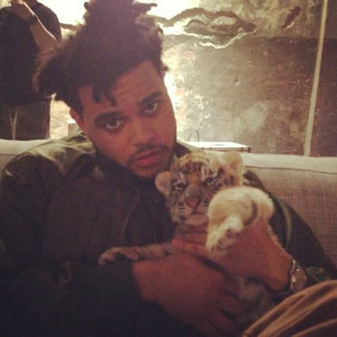 The Weeknd w/ a baby tiger King Of The Fall, The Weeknd Abel, Abel Makkonen Tesfaye, Abel Makkonen, Abel The Weeknd, Abel Tesfaye, The Weeknd, The Weekend