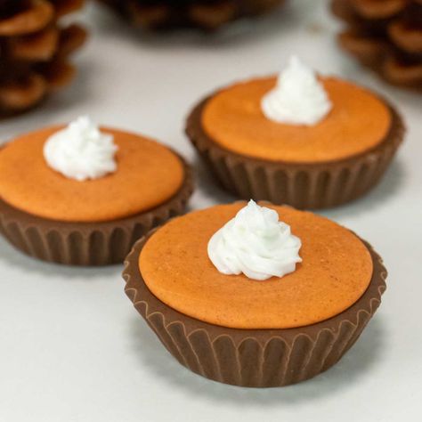 Pumpkin Pie Hot Chocolate Bombs - Pankobunny Thanksgiving Desserts Cookies, Pumpkin Hot Chocolate Recipe, Fall Hot Chocolate, Pumpkin Hot Chocolate, Pumpkin Spice Ice Cream, Pumpkin Pie Ice Cream, Diy Pumpkin Spice, Pumpkin Spice Cheesecake, Desserts Cookies