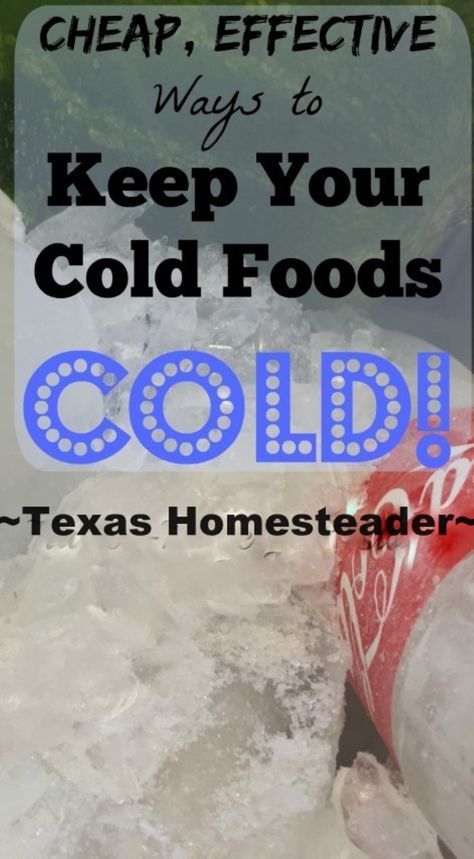 How To Keep Food Safely Cold For A BBQ Or Picnic On The CHEAP! ~ Texas Homesteader ~ Cold Food Buffet, Tailgate Food Cold, Budget Food Shopping, Homestead Hacks, Homesteading Inspiration, Cold Buffet, Homestead Animals, Thrifty Thursday, Cold Dishes