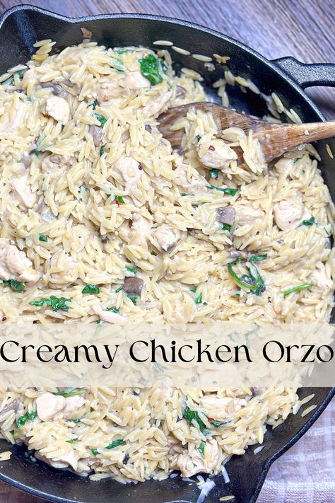 Creamy Chicken Orzo, Dinners For A Crowd, Chicken And Orzo, Creamy Orzo, Mushrooms And Spinach, Creamy Mushroom Chicken, Creamy Parmesan Sauce, Chicken Orzo Soup, Orzo Recipes