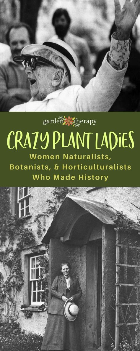 Horticulture Therapy, Historical Quotes, Emily Dickinson, Nature Journal, Zoology, Plant Lady, Permaculture, Horticulture, Organic Gardening