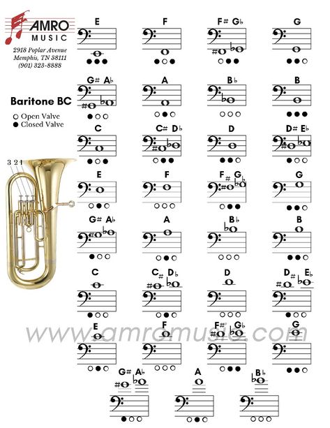 Tuba Music, Tenor Horn, Music Theory Piano, Brass Music, Music Mixing, Band Jokes, Brass Instrument, Whatsapp Wallpaper Cute, Brass Instruments