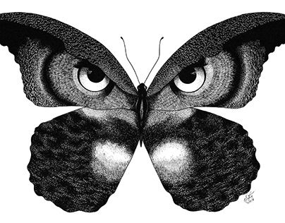 Hypnotic Eyes, Owl Butterfly, Paint And Sip, Painting Art Projects, Blackwork Tattoo, Unique Tattoos, Butterfly Tattoo, Behance Portfolio, Bird Art