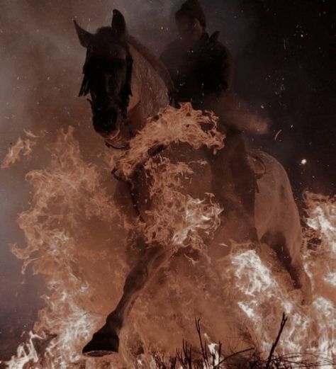 Horse Aesthetic, Hakone, Wolfram, Sendai, Horse Girl, Character Aesthetic, A Horse, Beautiful Horses, The Fire