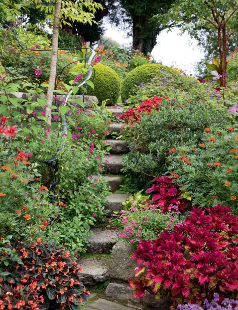 An unconventional, informal Irish garden full of wildlife | House & Garden Hydrangea Paniculata Limelight, Irish Garden, Flagstone Path, Garden Pond Design, Hillside Garden, County Wicklow, Prairie Garden, Sloped Garden, Garden Decor Projects