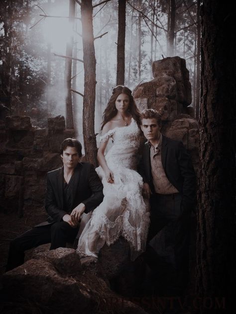 Nina Dobrev Dress, Vampire Diaries Season 2, Vampire Diaries Season 5, Vampire Diaries Poster, Vampier Diaries, Vampire Diaries Movie, Vampire Diaries Stefan, Damon And Stefan, Vampire Diaries Seasons