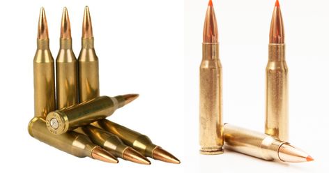 If you hunt deer, antelope, or black bear, there are dozens of calibers to choose from. Two of the most popular centerfire rifle cartridges in North America for this purpose are the .243 and .308 Winchester. The .308 has also proven itself more than capable in competition and combat. But if you had to choose ... Read more The post .243 Win vs .308 Win appeared first on TheGunZone. 243 Winchester, 308 Winchester, Black Bear, Winchester, Goats, North America, Deer, Most Popular, Black