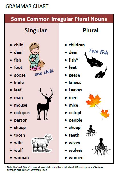 Plurals Worksheets, Irregular Plural Nouns, Irregular Plurals, Singular And Plural Nouns, Singular Nouns, Grammar For Kids, Teaching English Grammar, Plural Nouns, Learn English Grammar