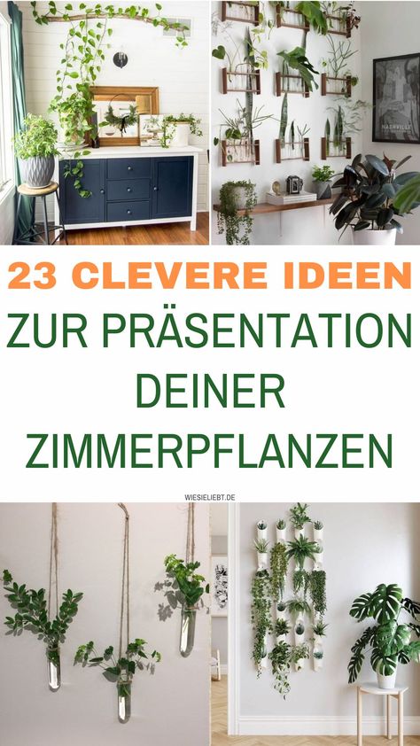 23 clevere Ideen zur Präsentation deiner Zimmerpflanzen Natural Home, Urban Jungle, Apartment, Plants, Quick Saves, Beauty