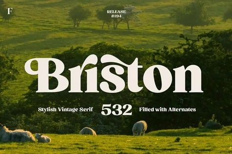 Briston Font - Dafont Free Numbers Tattoo, Dafont Fonts, 10 Tattoo, Trendy Fonts, Aesthetic Fonts, Font Inspiration, Graphic Design Fonts, Stylish Fonts, Creative Fonts