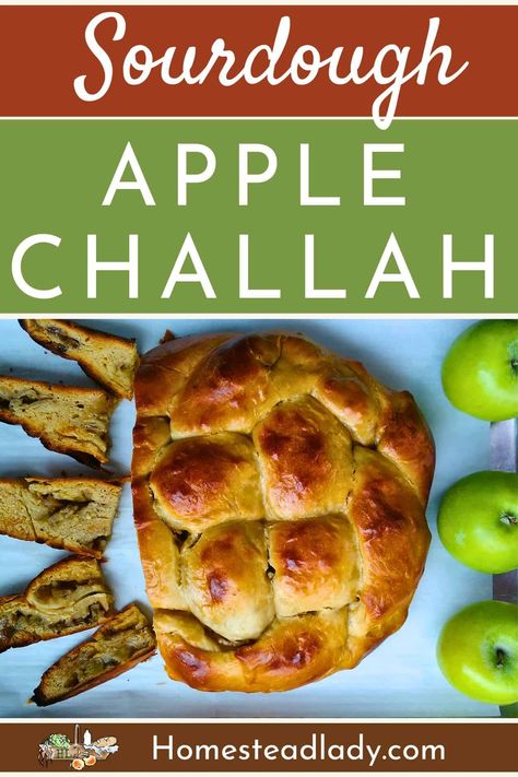 Make this sourdough apple challah with fresh eggs, local honey, and seasonal apples for a homemade, healthy, holiday treat! Holiday Sourdough, Apple Challah, Sourdough Challah, Healthy Holiday Food, Sourdough Apple, Challah Recipe, Kefir Yogurt, Apple Bread Recipe, Hanukkah Recipes