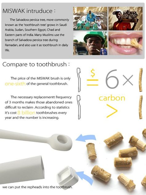 nature toothbrush | designboom.com Diy Toothbrush, Chart Patterns Trading, Teeth Whitening Procedure, Enchanted Cottage, Bedroom Door Design, The Face Shop, Survival Food, Design Magazine, Natural Life