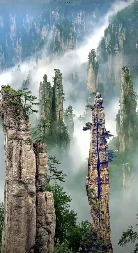 Starověký Egypt, Huangshan, Zhangjiajie, Beautiful Night Images, Amazing Places On Earth, Book Tour, Beautiful Places Nature, Nature Gif, Beautiful Photos Of Nature