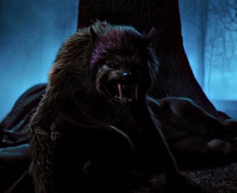 Enid Werewolf, Enid Wolf, Wednesday Ideas, Wolf Gif, Werewolf Aesthetic, Creature Concept Art, Addams Family, Character Ideas, Creature Concept